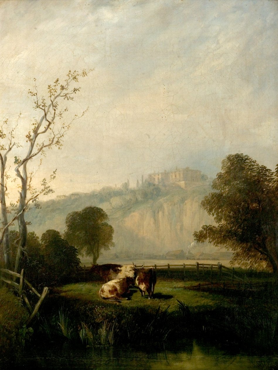 Nottingham Meadows, 1847 von Henry Smyth