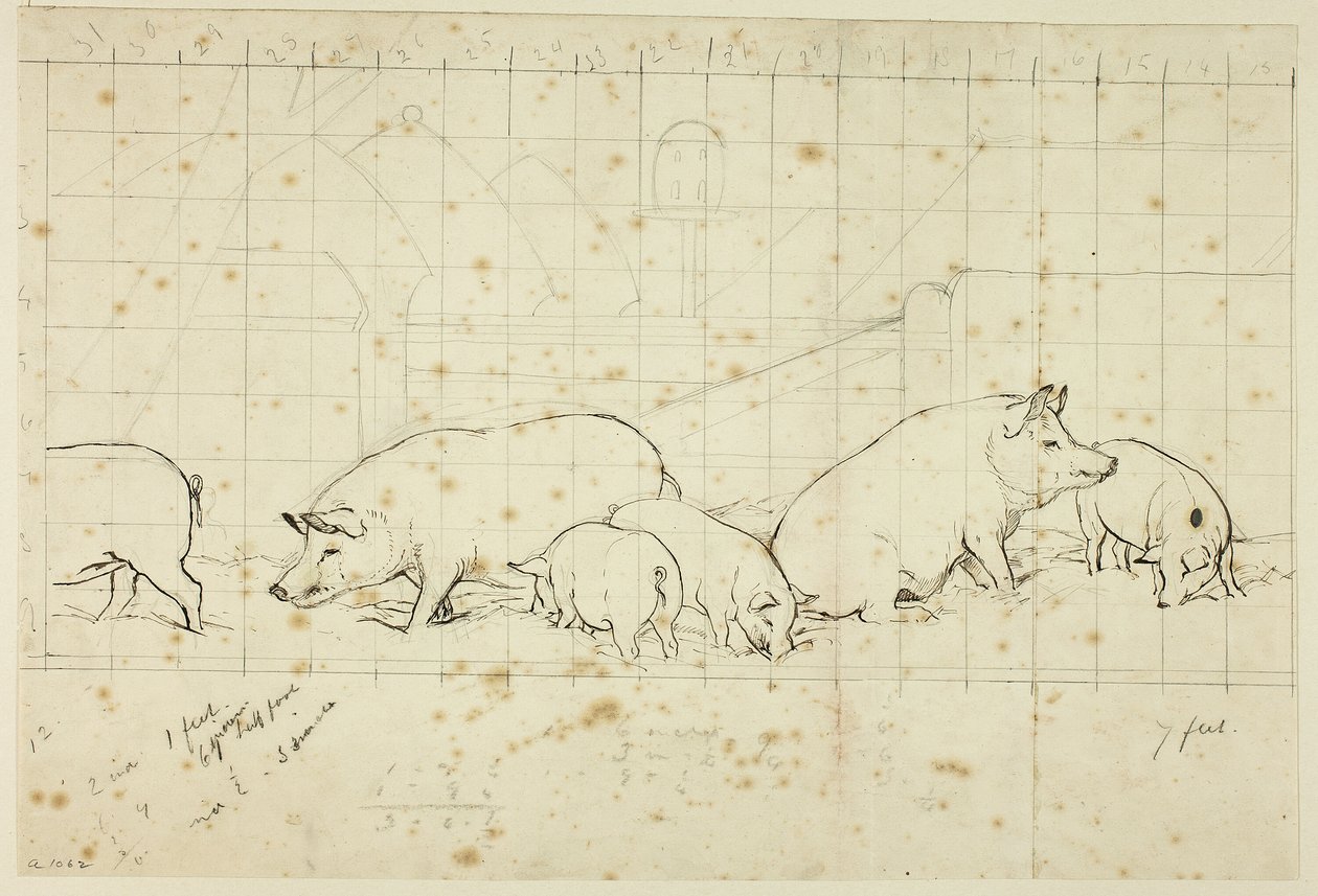 Schweine von Henry Stacy Marks