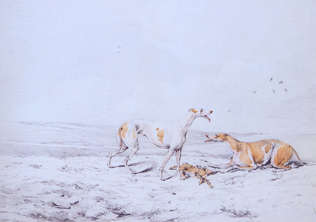 Coursing, Ein Paar von Henry Thomas Alken