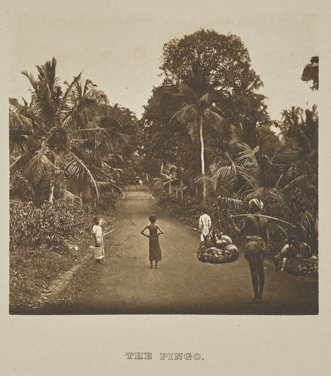 Der Pingo von Henry W. Cave