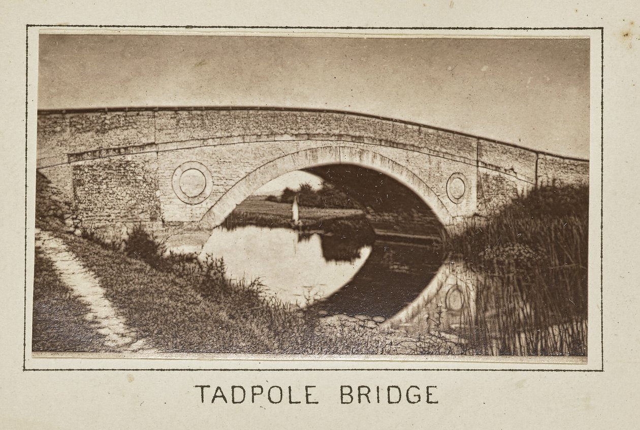 Kaulquappenbrücke von Henry W. Taunt