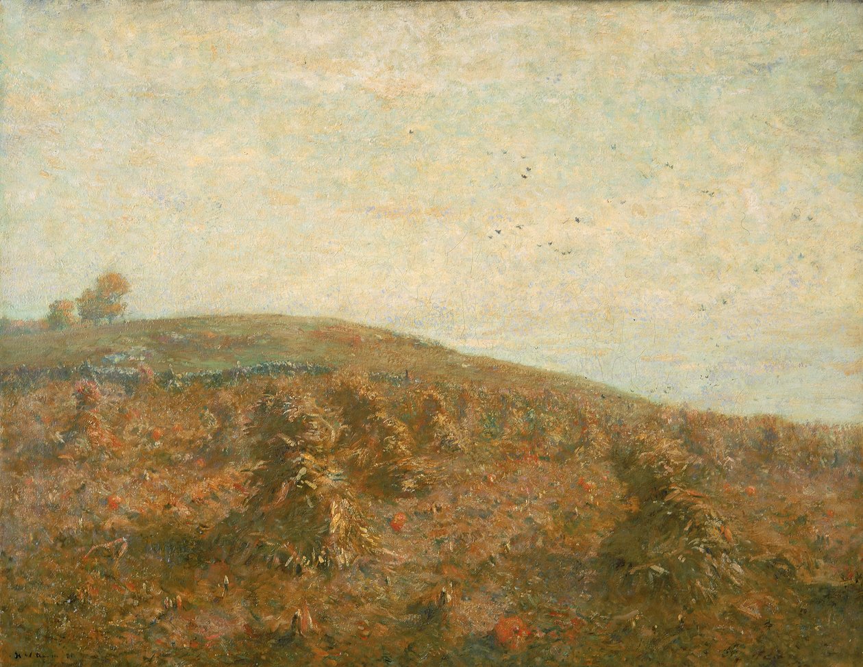 Das Kornfeld von Henry Ward Ranger