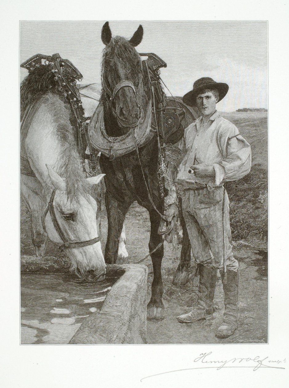 Pferde am Wassertränke von Henry Wolf