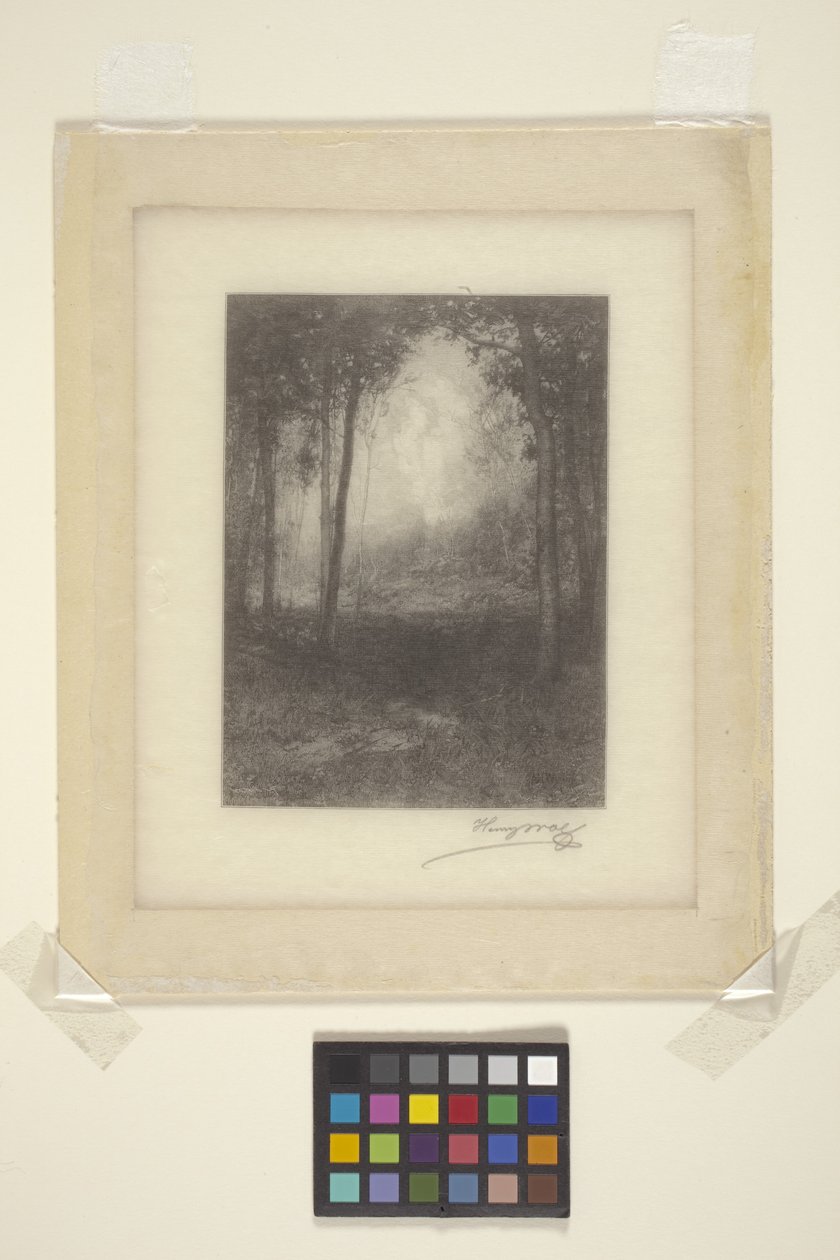 In den Adirondacks von Henry Wolf