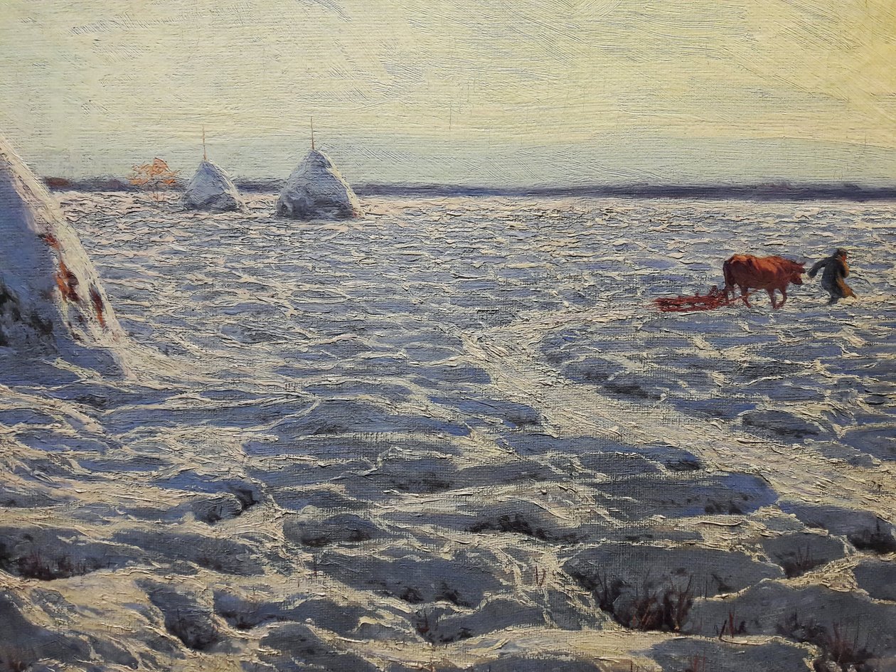 Litauische Sümpfe unter Schnee von Henryk Weyssenhoff