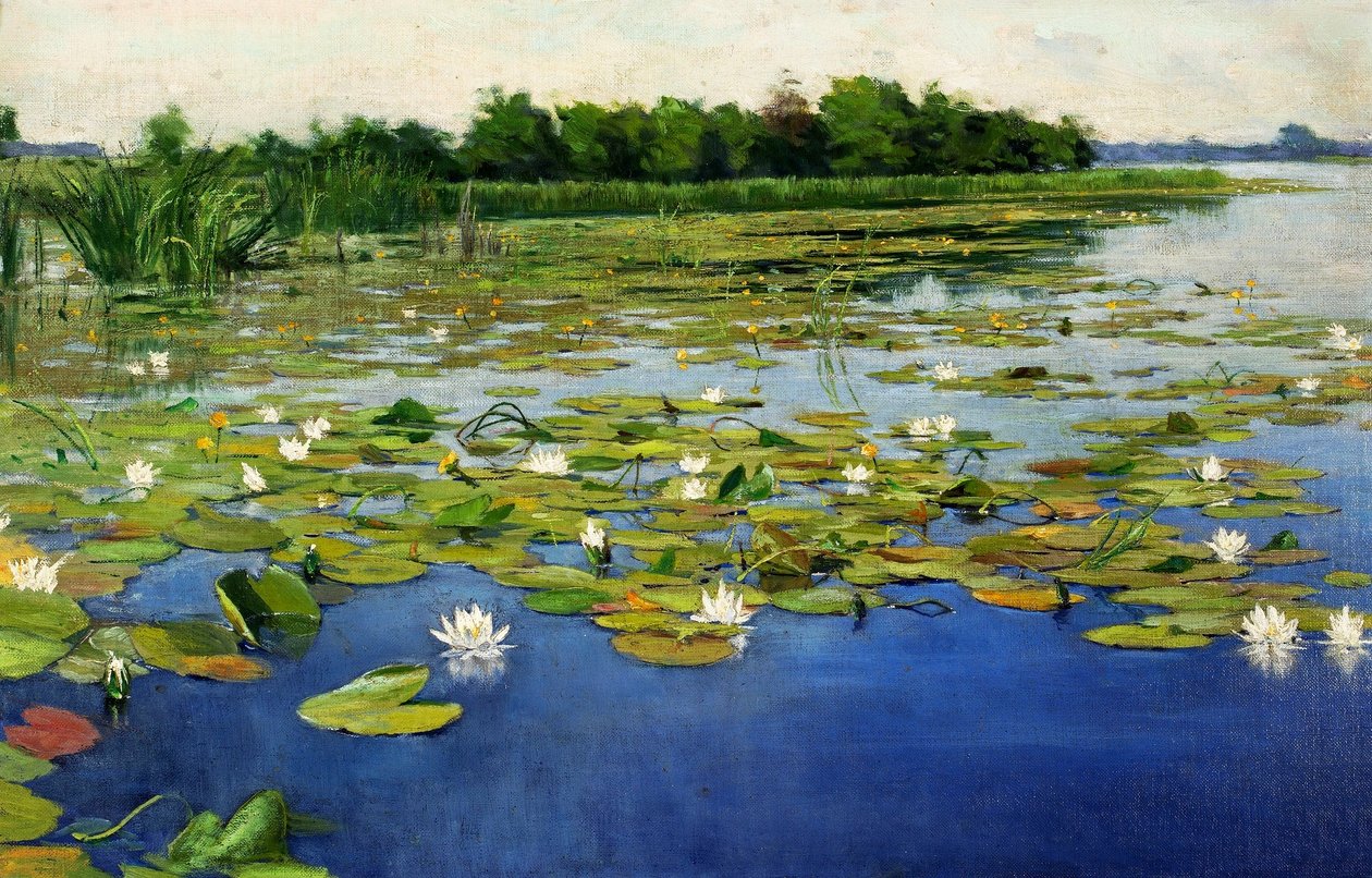 Seerosen von Henryk Weyssenhoff