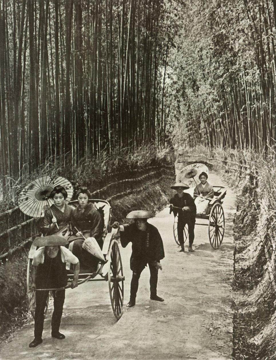 Eine Bambusallee in Kyoto von Herbert Ponting