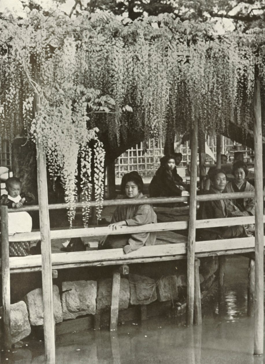 Ein Glyzinienlaubengang in Kameido, 1910 von Herbert Ponting
