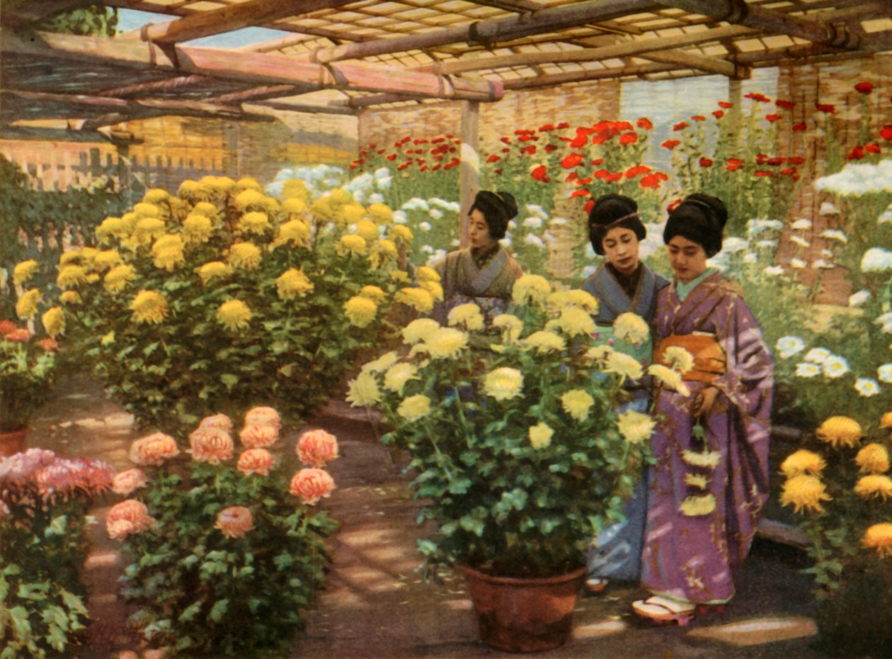 Auf der Chrysanthemen-Ausstellung, 1910 von Herbert Ponting