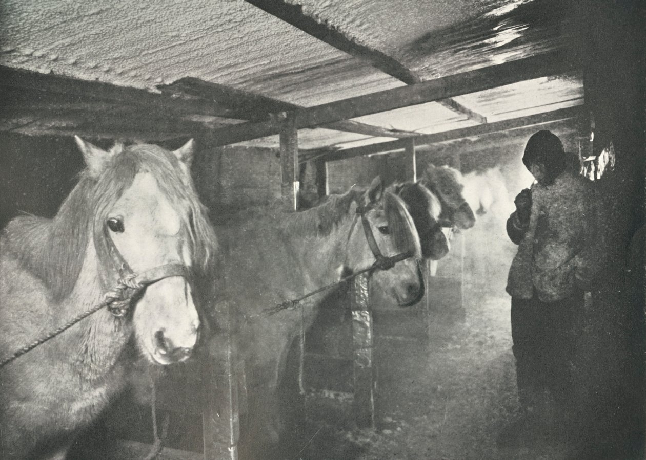 Die Ställe im Winter, um 1910-1911, 1913 von Herbert Ponting