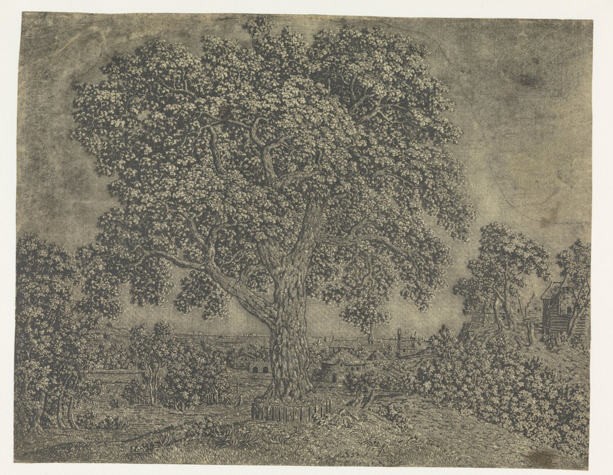 Der große Baum von Hercules Segers