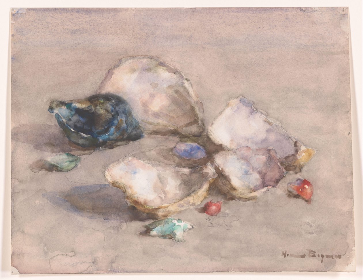 Muscheln am Strand von Herman Bogman (signed by artist)