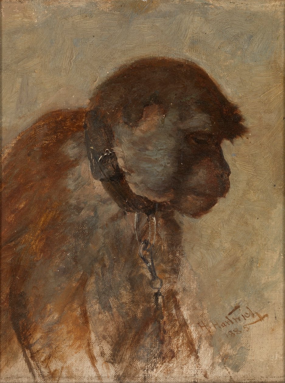Meditation von Herman Hartwich