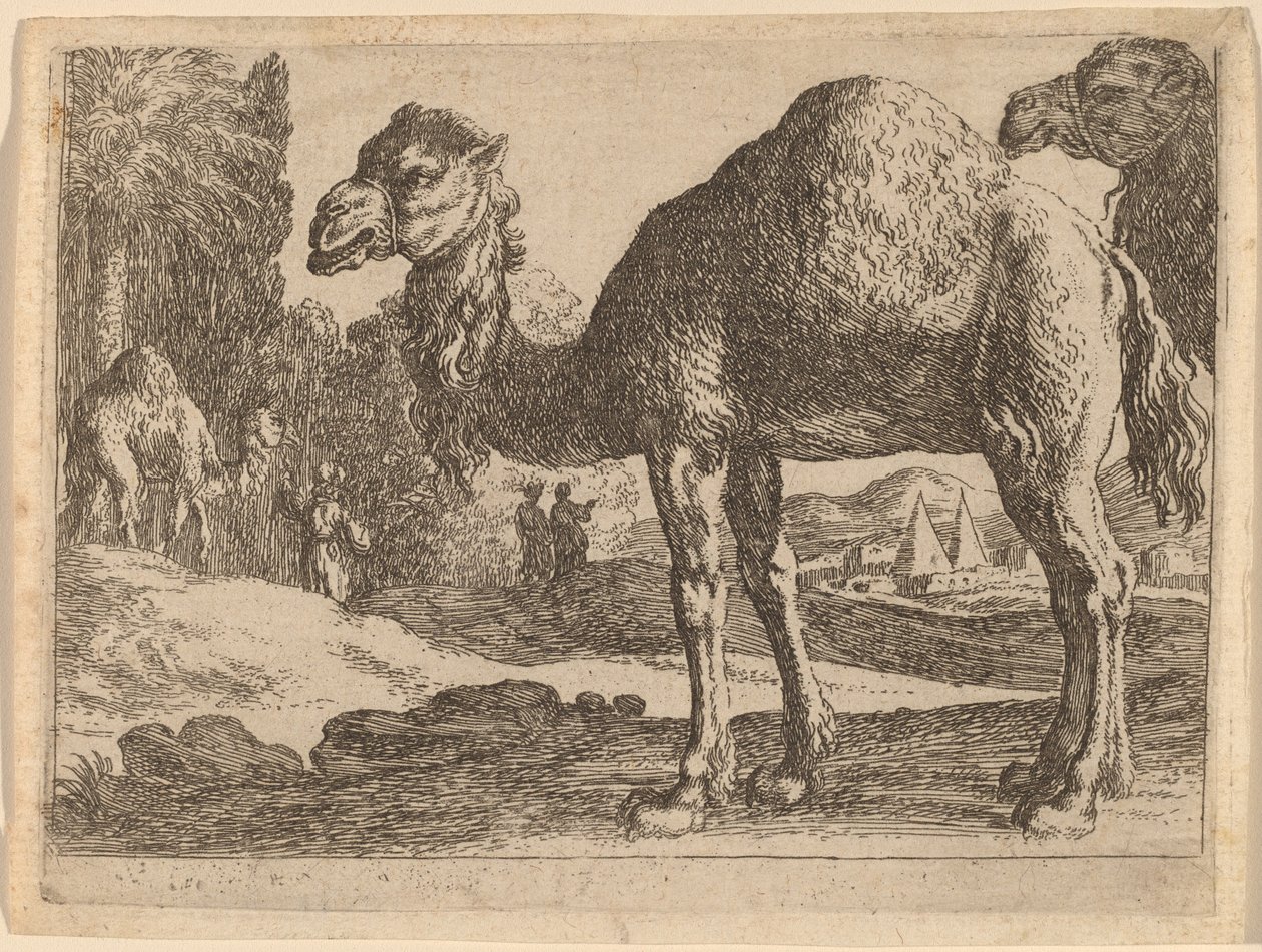 Kamele von Herman van Swanevelt