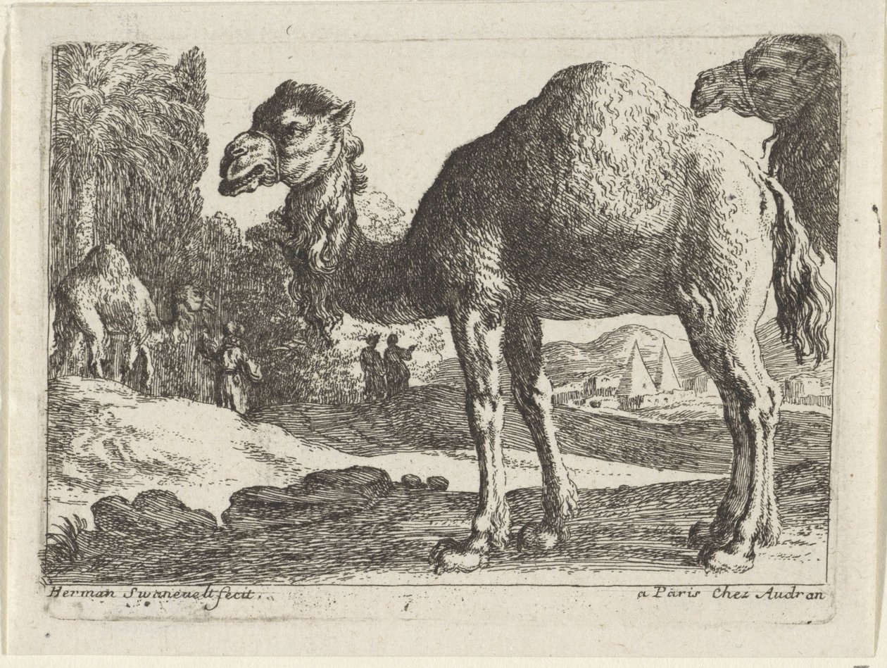 Kamele von Herman van Swanevelt