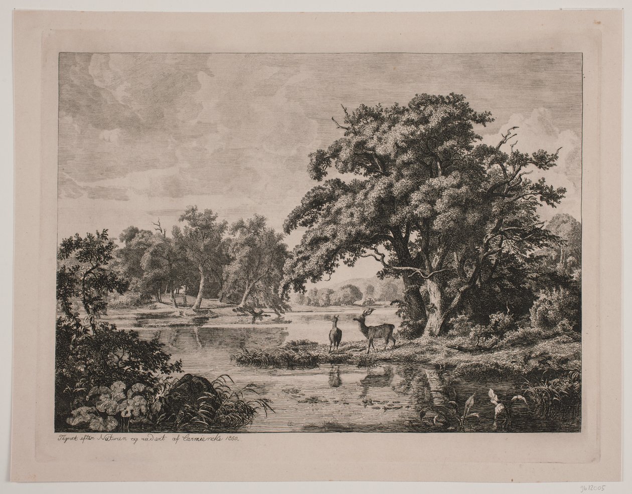 Partie im Hellebæk-Wald von Hermann Carmiencke