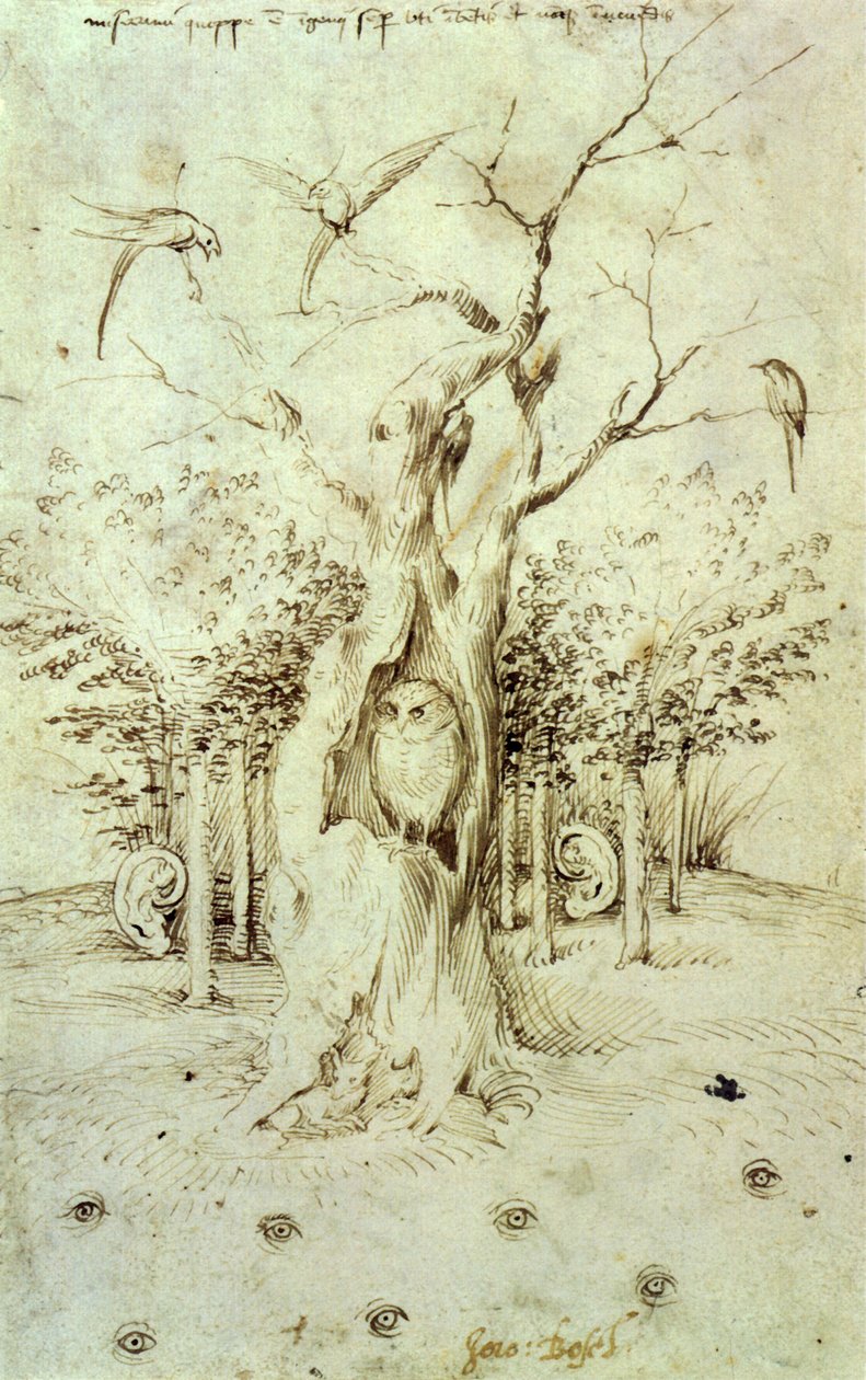Der Wald, der hört, und das Feld, das sieht von Hieronymus Bosch