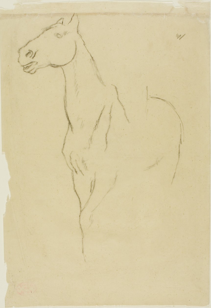 Pferd im Dreiviertelprofil von Hilaire Germain Edgar Degas