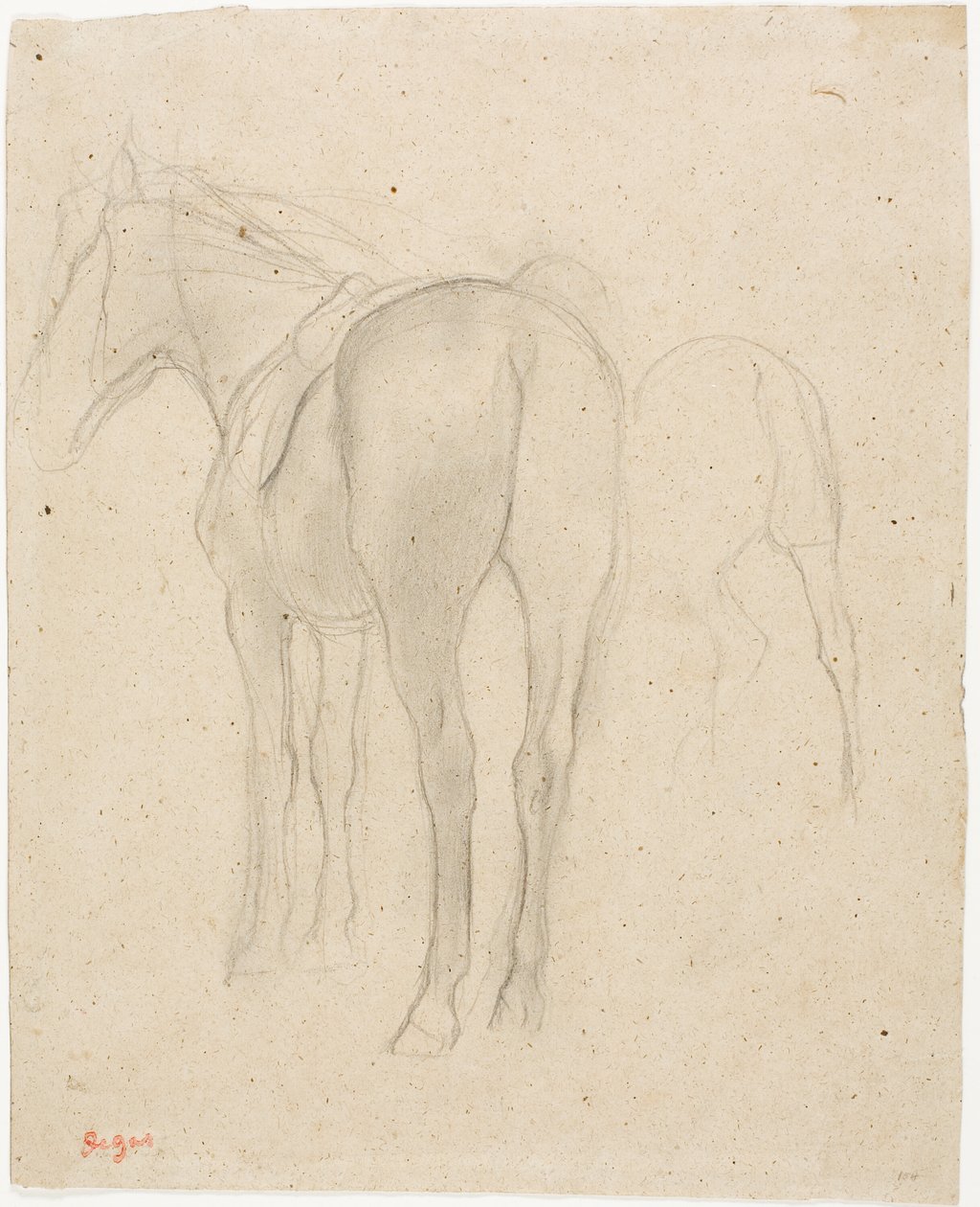 Studien eines Pferdes von Hilaire Germain Edgar Degas