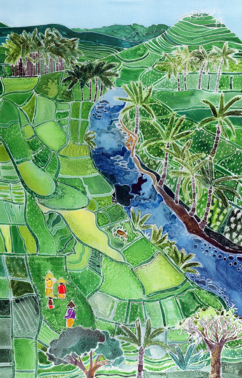 Fluss Agung, Bali, 1996 von Hilary Simon