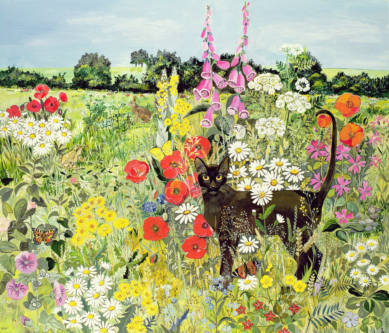 Sommerkatze von Hilary Jones