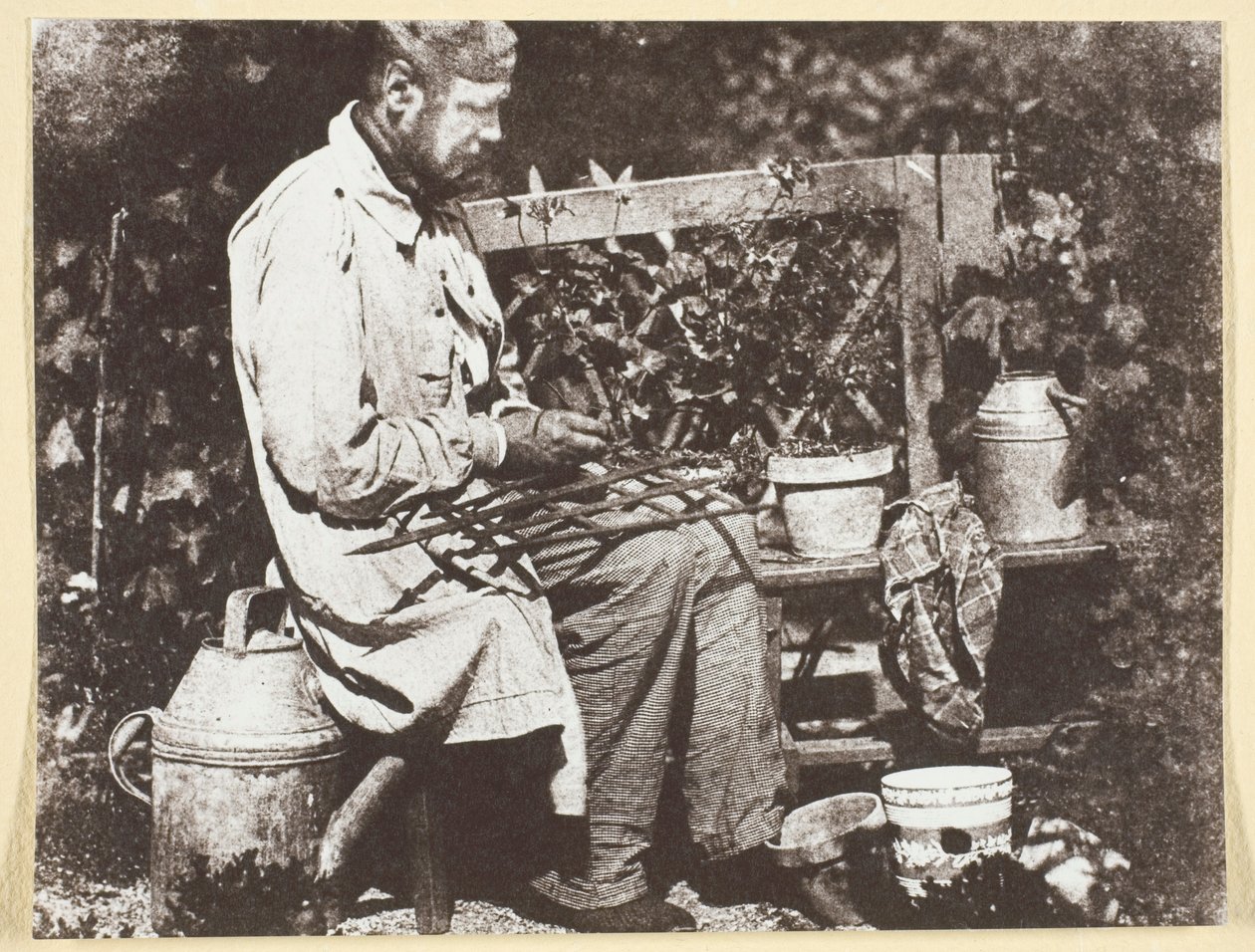Bayard Jardinier von Hippolyte Bayard