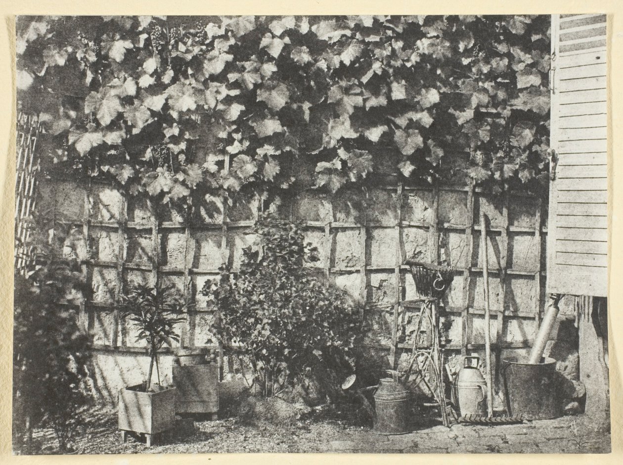 La Treille von Hippolyte Bayard