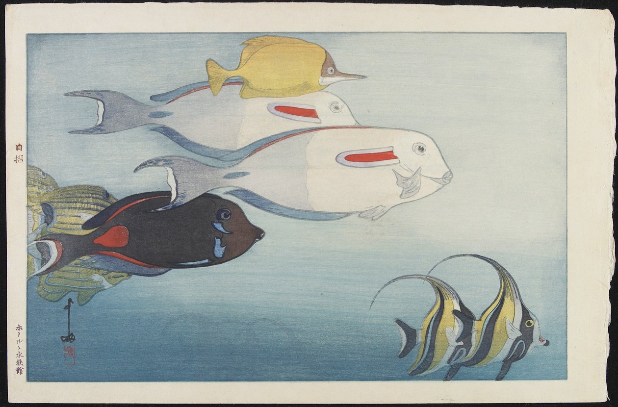 Das Honolulu Aquarium von Hiroshi Yoshida