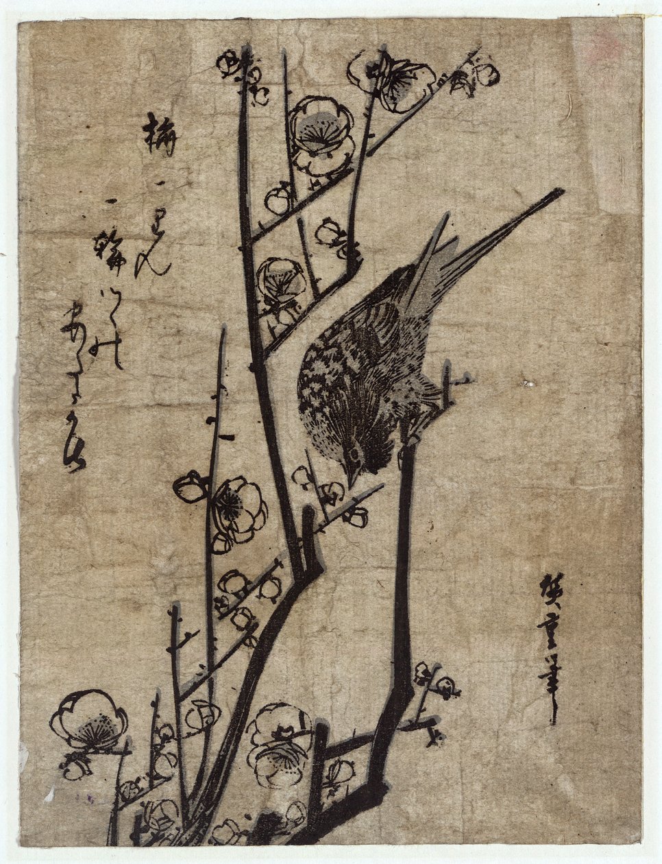 Ume ni Uguisu (Pflaumenblüte und Buschrohrsänger) von Utagawa Hiroshige