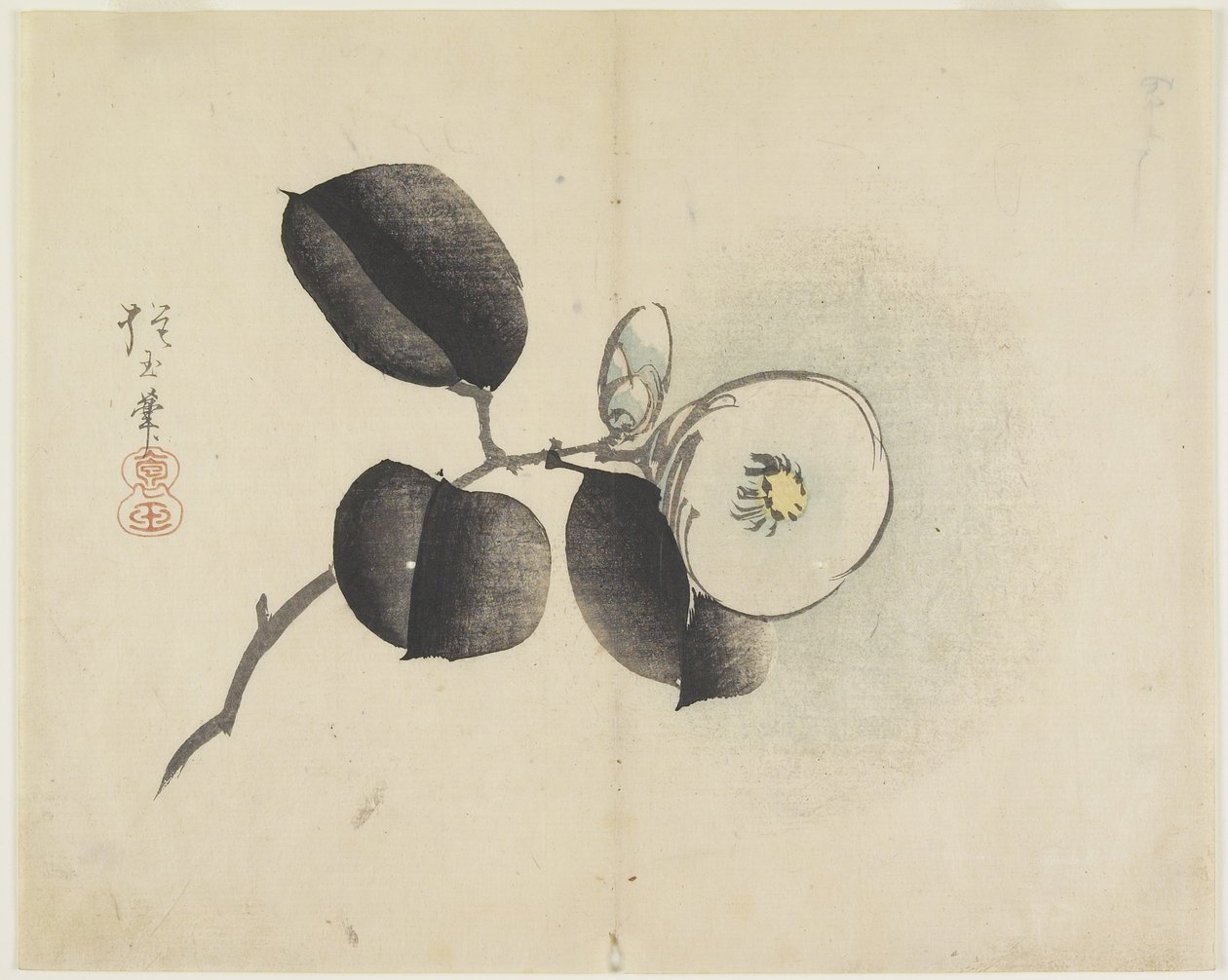 Kamelienblüte und Knospe, ca. 1830 von Hogyoku