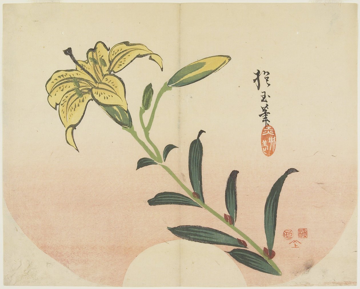 (Lilie), 1839 von Hogyoku