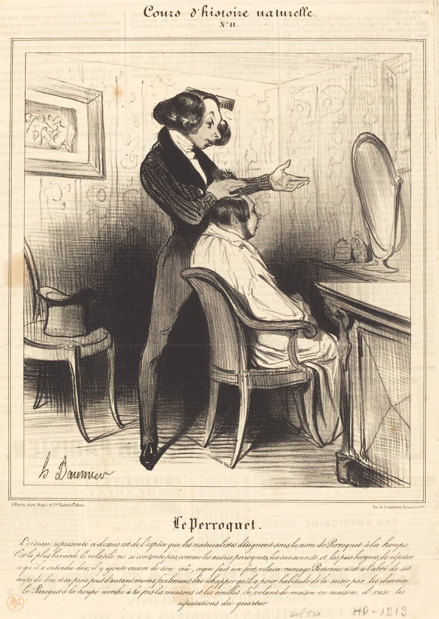 Der Papagei von Honoré Daumier