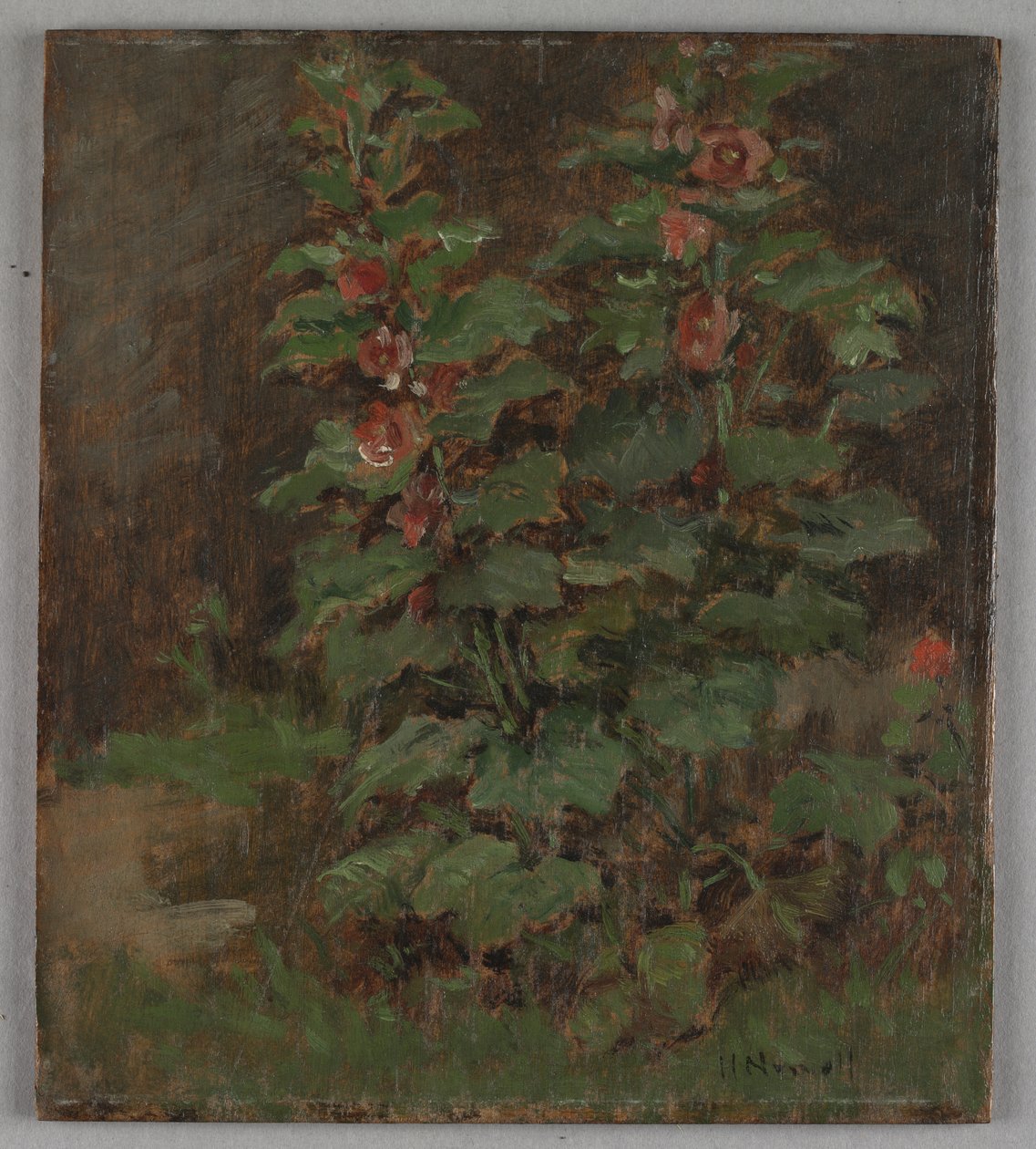 Blumen von Hugh Newell