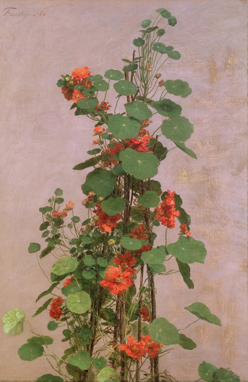 Kapuzinerkresse von Ignace Henri Jean Fantin Latour