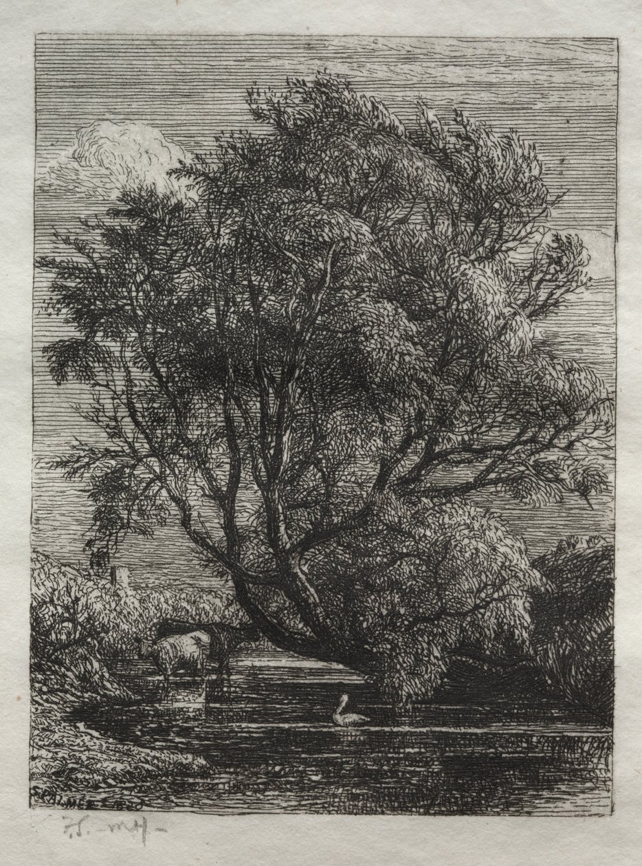Die Weide von Ignaz Gunther