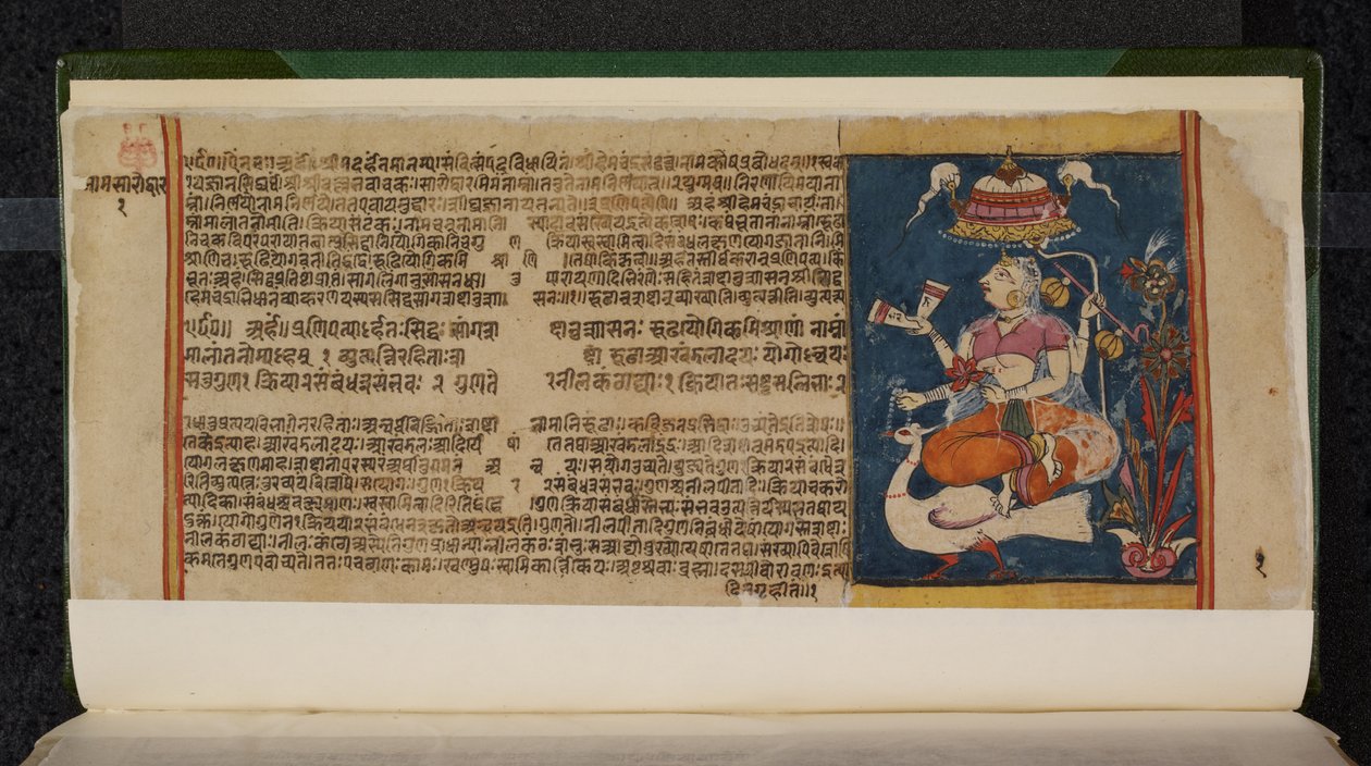 Abhidan Chintamani Manuskriptseite von Indian School