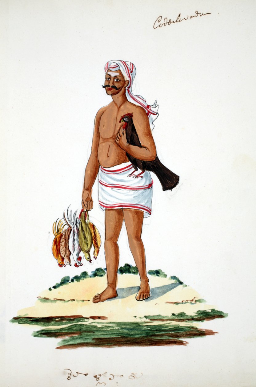 Bauer mit Hühnern von Indian School