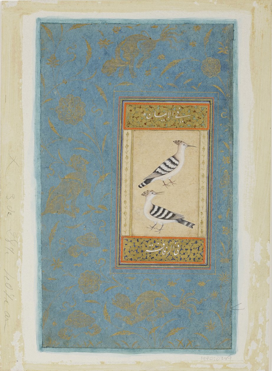 Wiedehopfe von Indian School