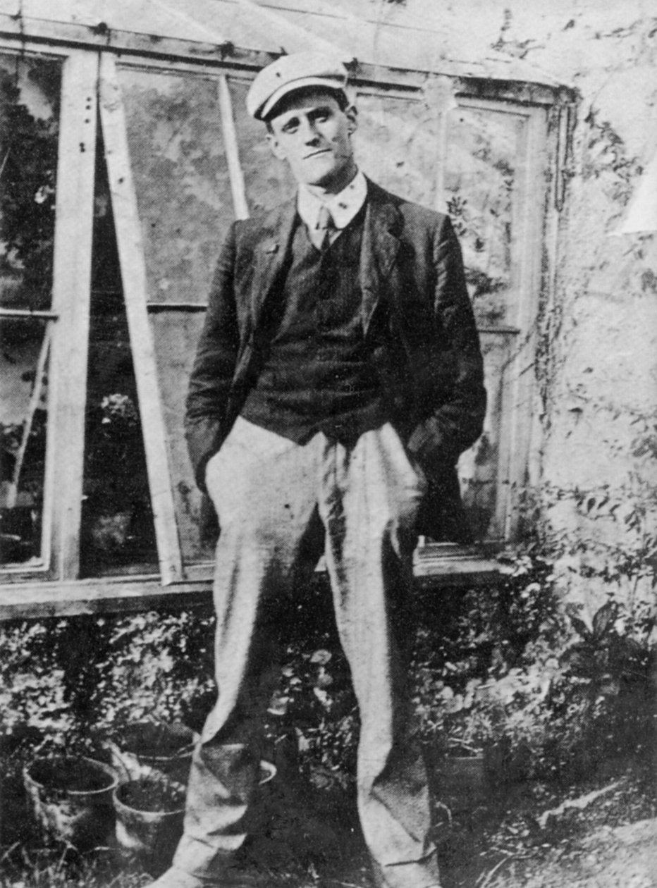 James Joyce im Garten seines Freundes Constantine Curran in Dublin, 1904 von Irish Photographer