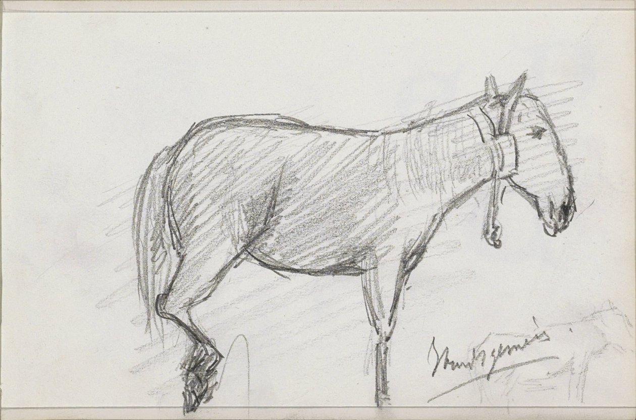 Pferd von Isaac Gosschalk