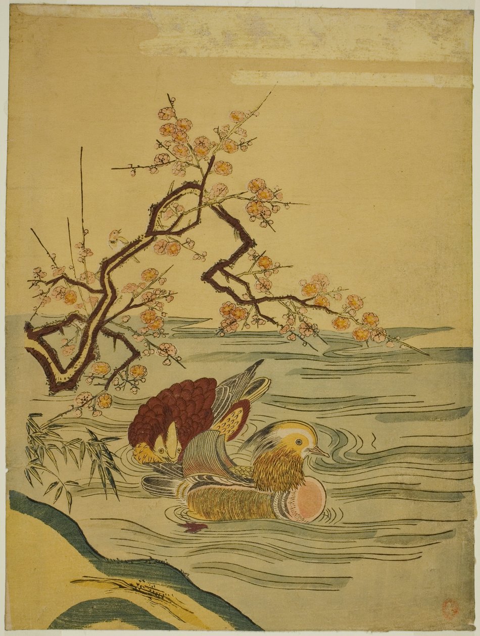 Mandarinenten schwimmen unter einem Pflaumenzweig von Isoda Koryusai