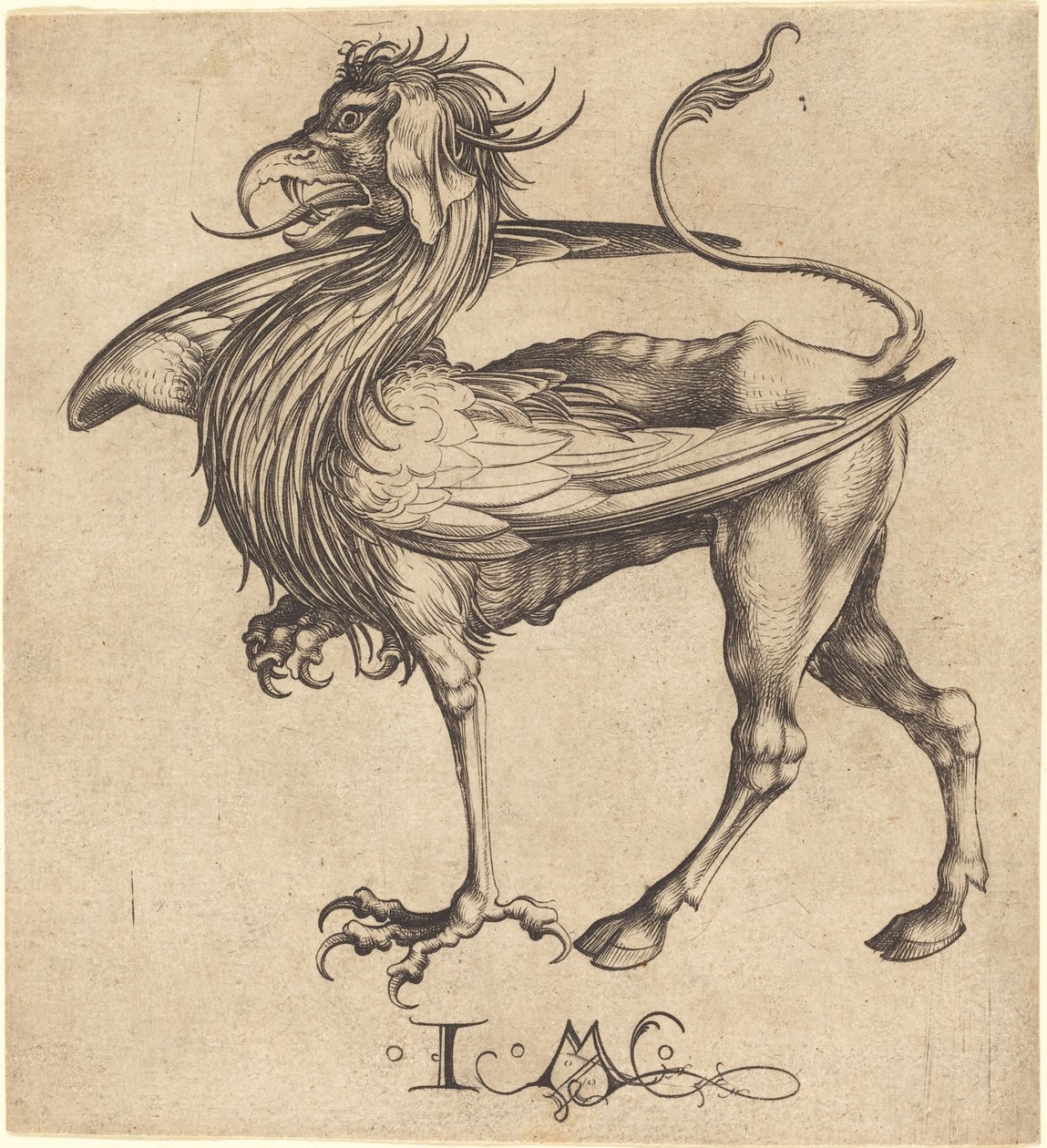 Der Greif von Israhel van Meckenem