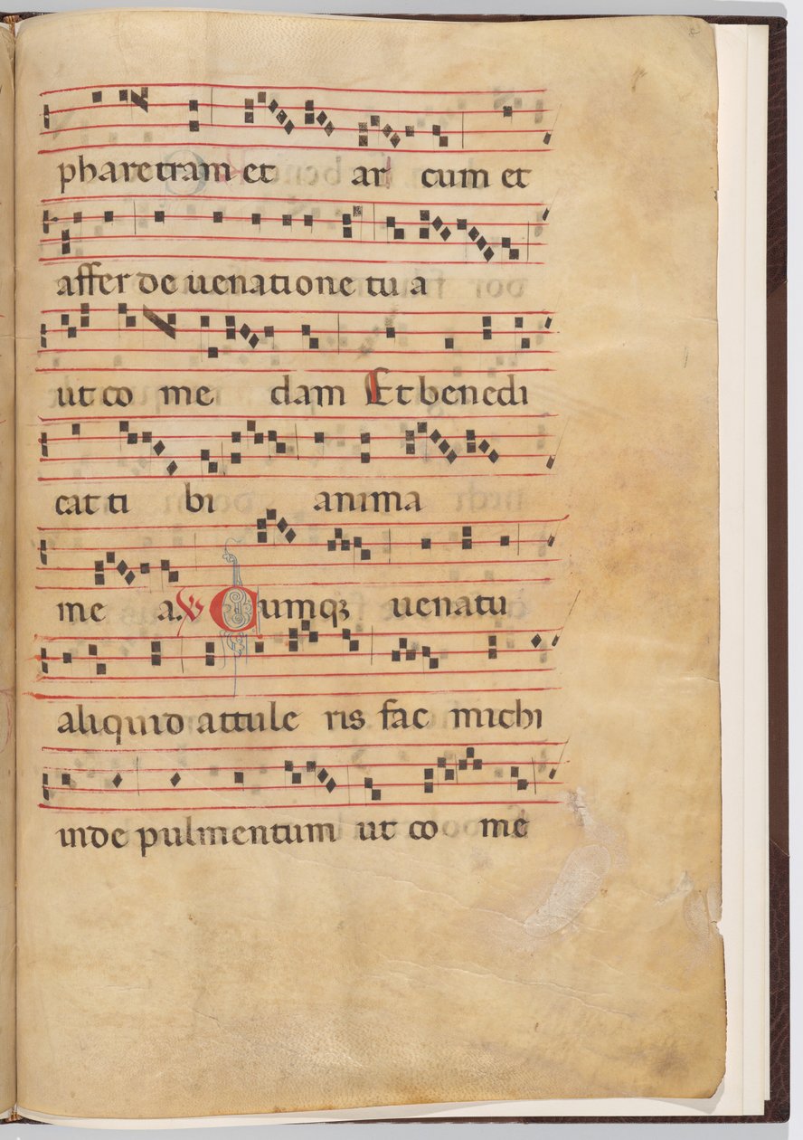 Blatt 8 aus einem Antiphonar-Fragment von Italian 13th Century