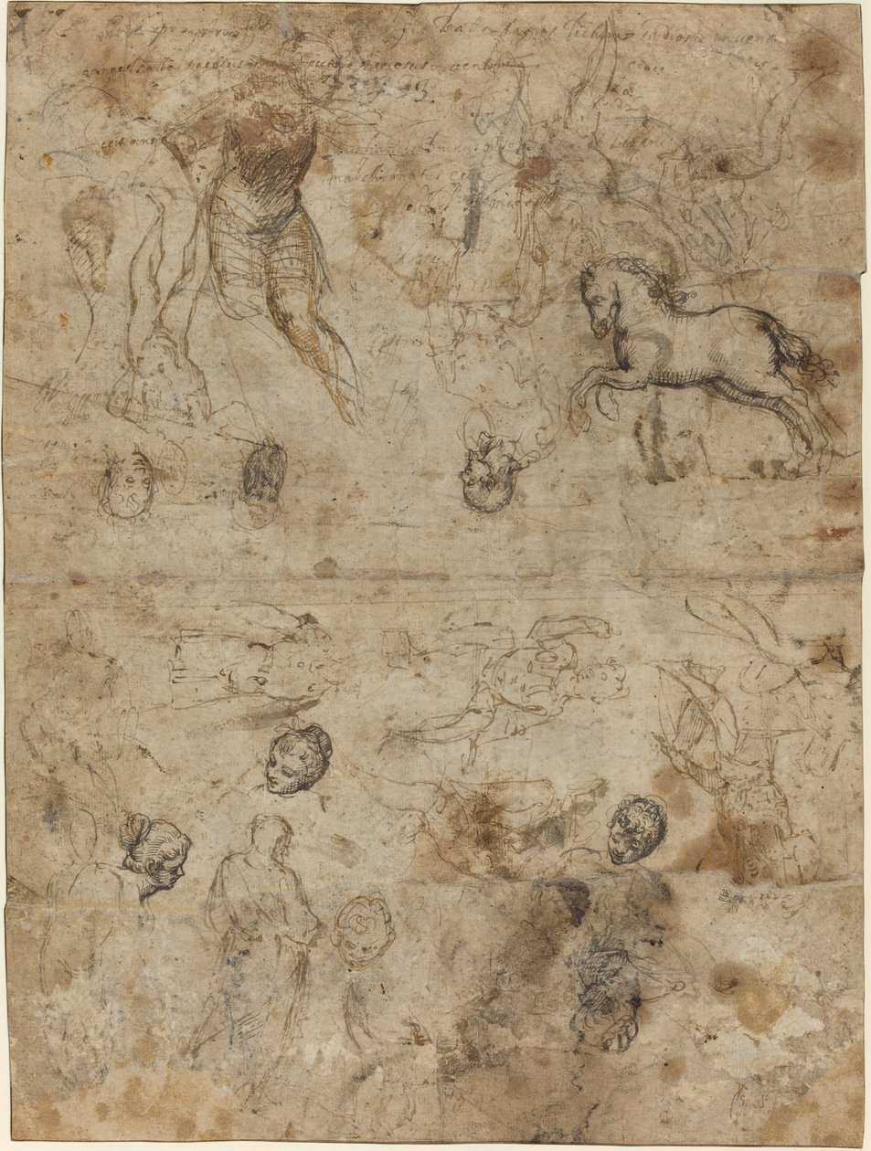 Blatt mit Studien von Italian 16th Century