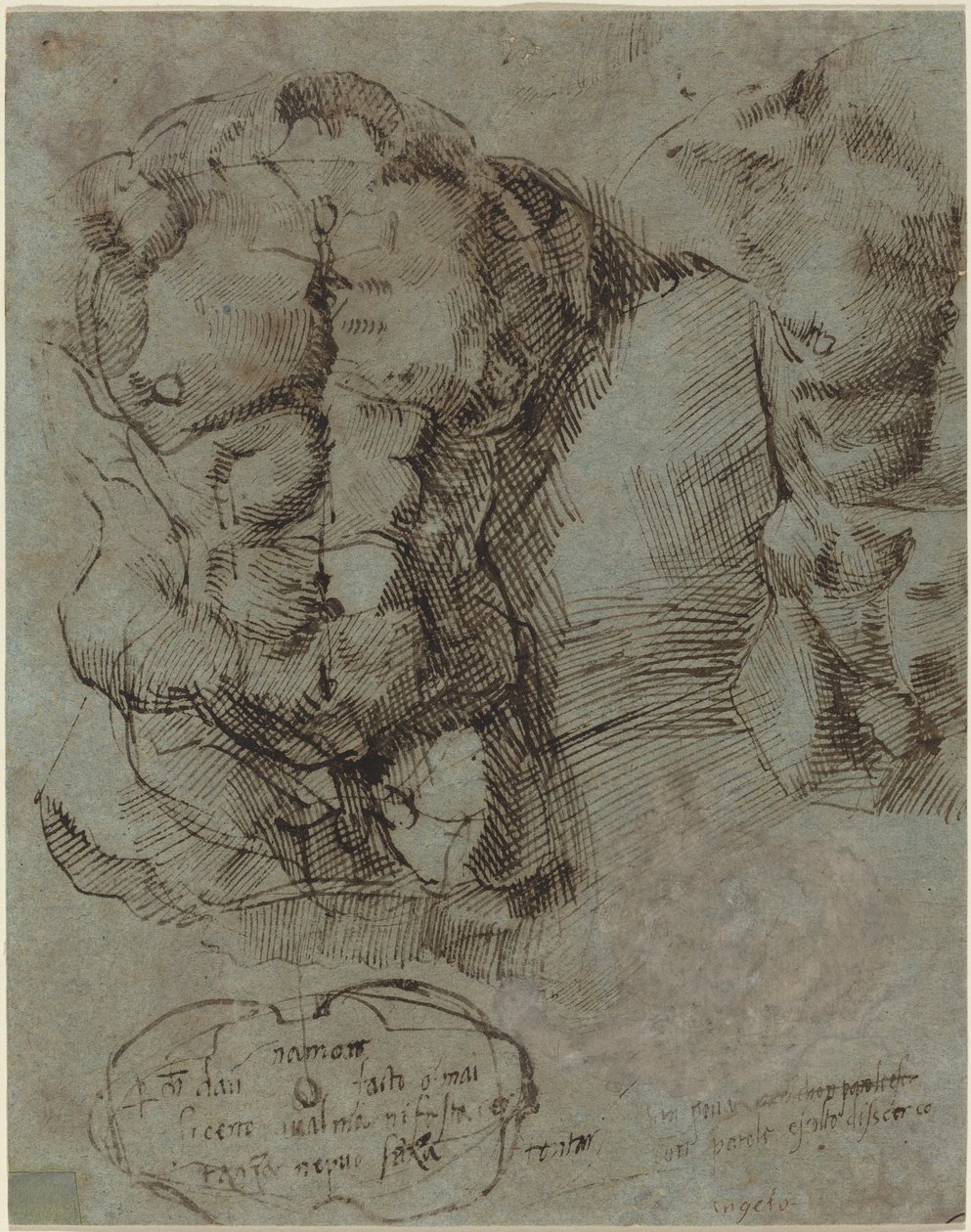 Studien eines männlichen Torsos von Italian 16th Century