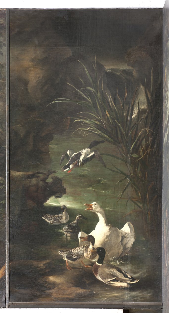 Mythos von Orpheus: Schwan und Enten von Italian School