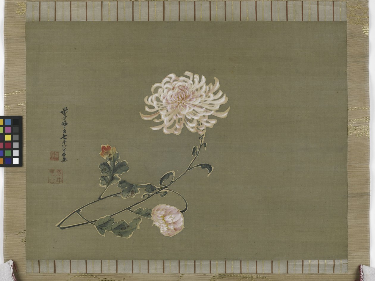Chrysantheme, Edo-Periode, 1791 von Ito Jakuchu