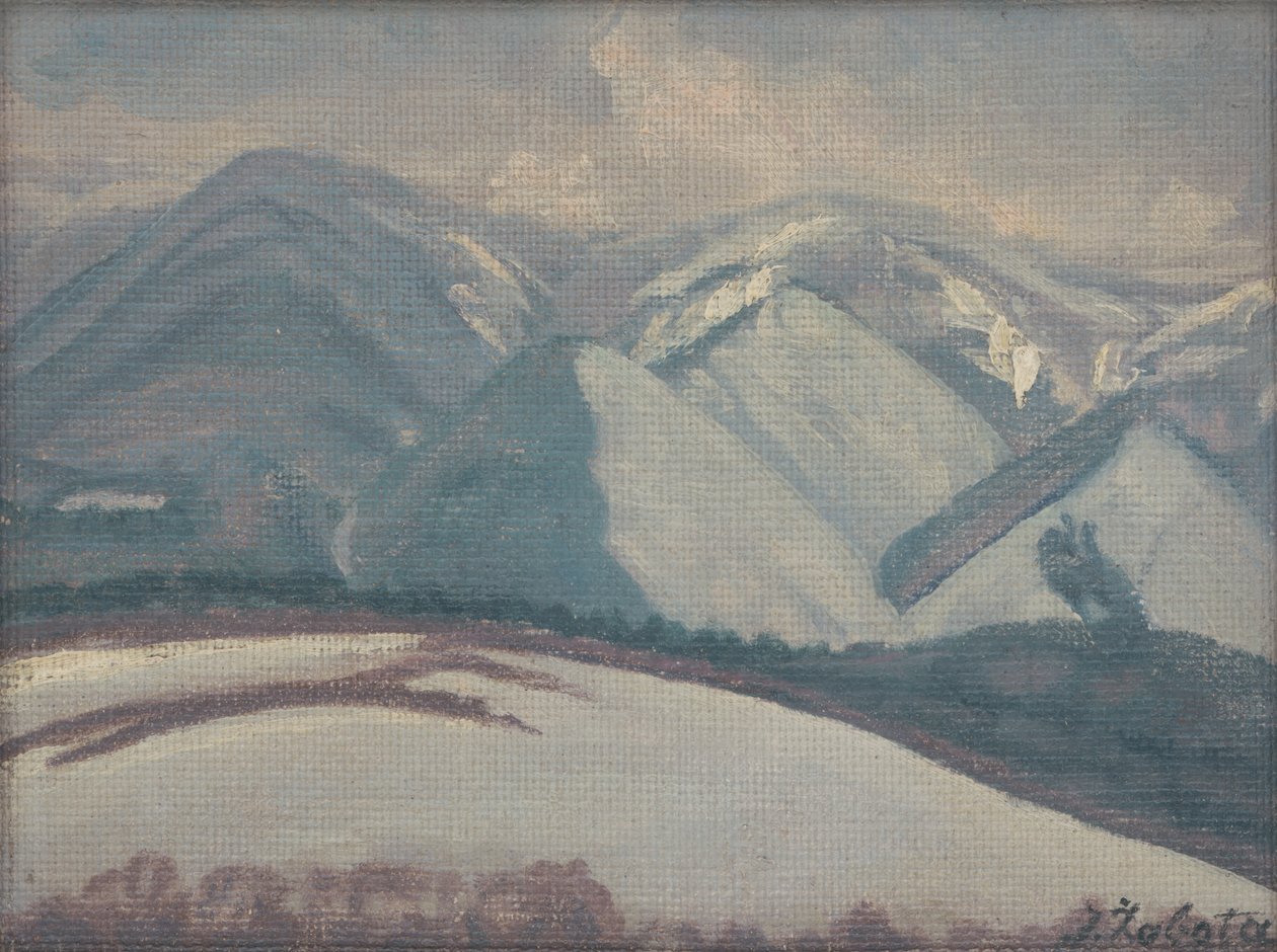 Verschneite Berge von Ivan Zabota