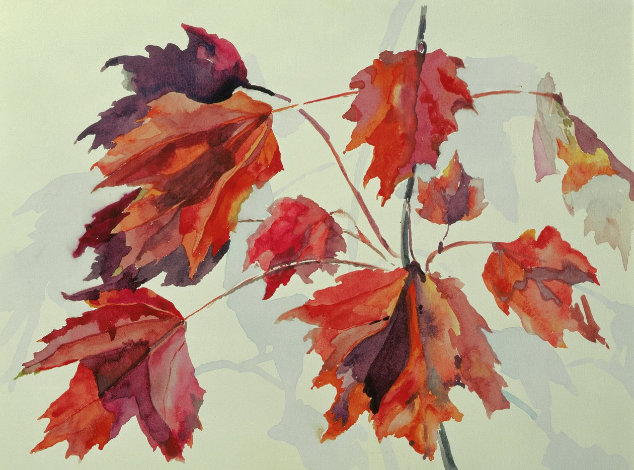 Nr. 24 Herbst-Ahornblätter von Izabella Godlewska de Aranda