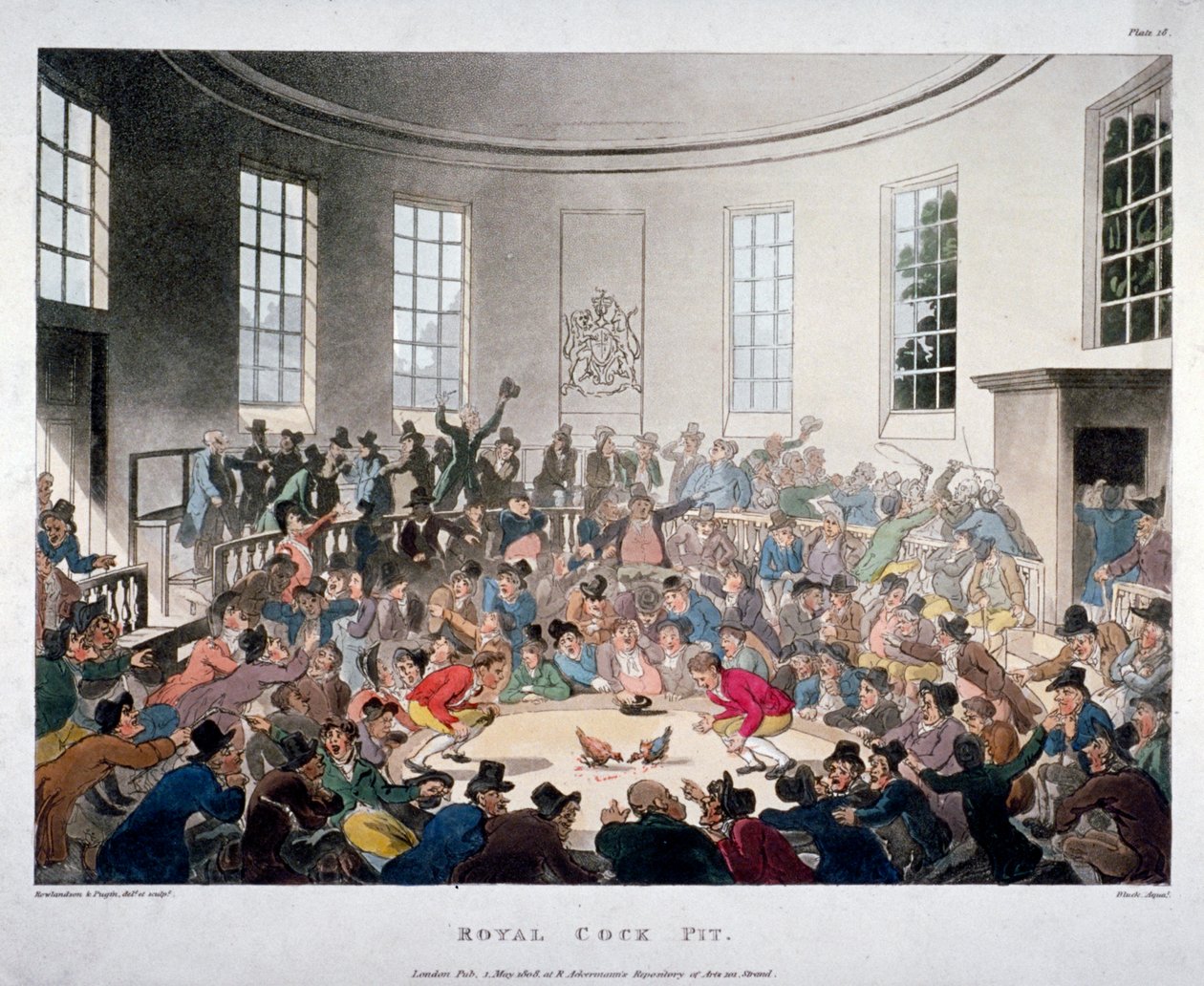 Royal Cock Pit, 1808 von J Bluck